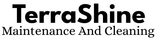 TerraShine Logo